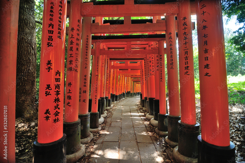 Japanese gates in Fushimi Inari Shrine in Kyoto, Japan.