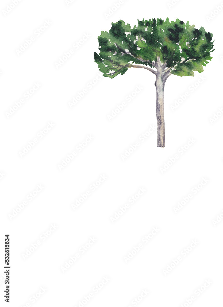Obraz premium Green tree Watercolor Handpainted clipart Great for greeting card, invitation, posters, patterns, scrapbooking.