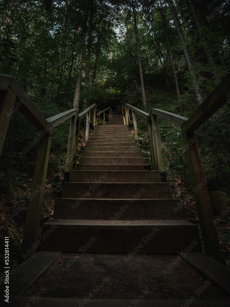 Wooden path hidden in deep forest in the north Bohemia. Path full of creepy and haunted atmosphere amongst dark forest.