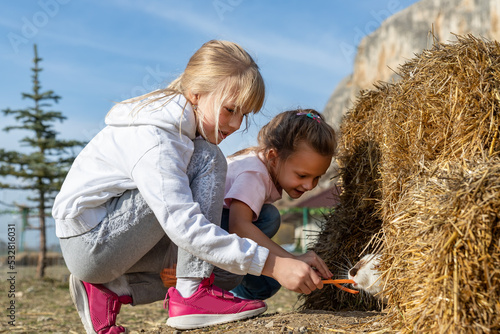 Two cute adorable caucasian blond little girls friends enjoy feeding white rabbit by carrot in far yard near hay stack outdoors. Children take care of bunny at countryside on sunny autumn day