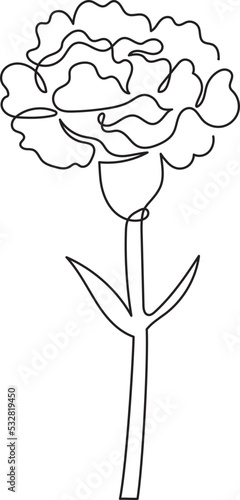 carnation flower floral minimal outline art