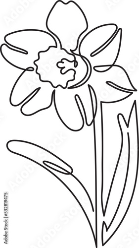 daffodil flower floral minimal outline art
