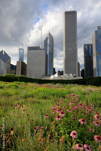 Chicago downtown cityscape, Lurie Garden