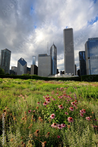 Chicago downtown cityscape, Lurie Garden © Purplexsu