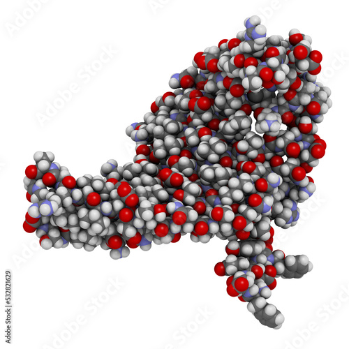 Tableau sur toile Silk fibroin fragment (N-terminal domain)