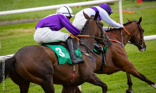 Two Race horses and jockeys competing for position on the race track.