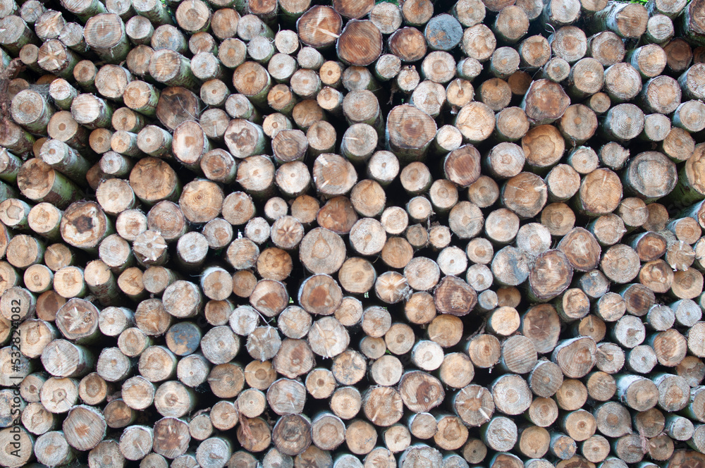 Wooden trunks Wooden trunks