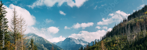 Tatra National Park, Poland. Summer Mountains And Forest Panoramic Landscape. Beautiful Scenic View. UNESCO's World Network of Biosphere Reserves. Panorama