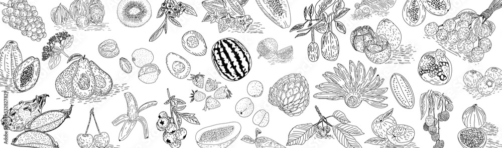 Hand drawn Fruit. Suitable for websites, Social media and layouts, Stickers, Banners, Art and collages, General use cases. png. Hand drawn Fruit. Suitable for websites, Social media and layouts, Stickers, Banners, Art and collages, General use cases. png.