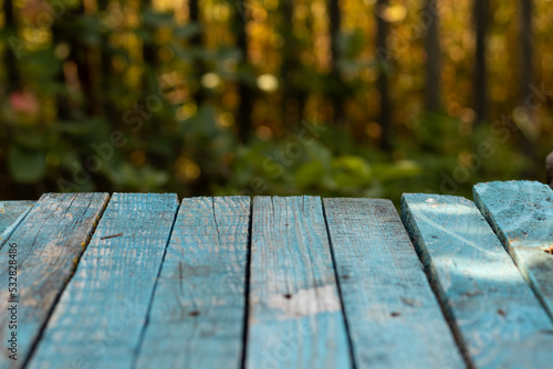 wooden bench in autumn park