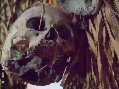 human skull from a headhunters trophy