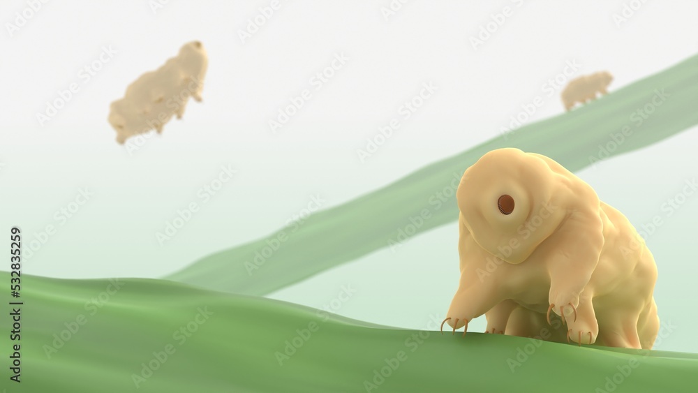 tardigrade 3d representation microscopic , also called water bear or