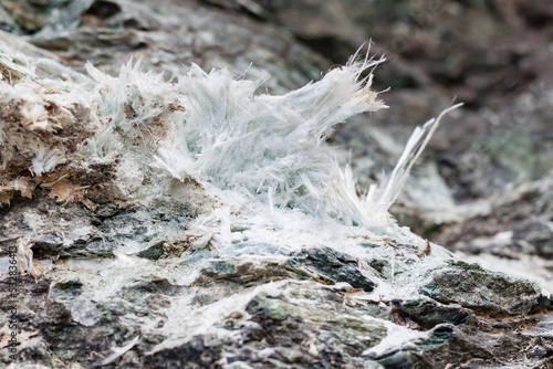фотографія Asbestos vein sinuosity in its natural geological environment and asbestos fiber