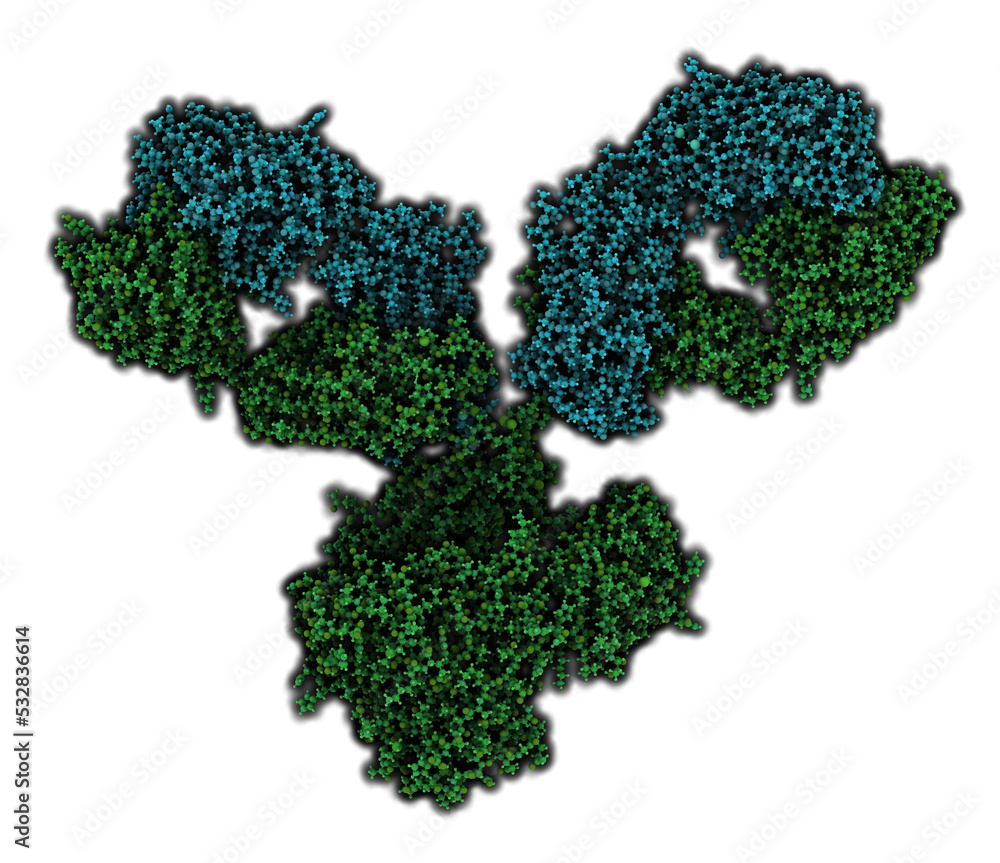IgG1 monoclonal antibody (immunoglobulin). Many biotech drugs are ...
