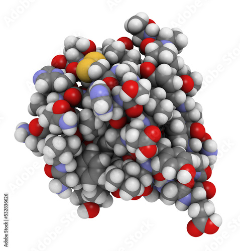 Insulin peptide hormone molecule. Used in treatment of diabetes. Atoms shown as color-coded spheres. Conventional per element coloring.