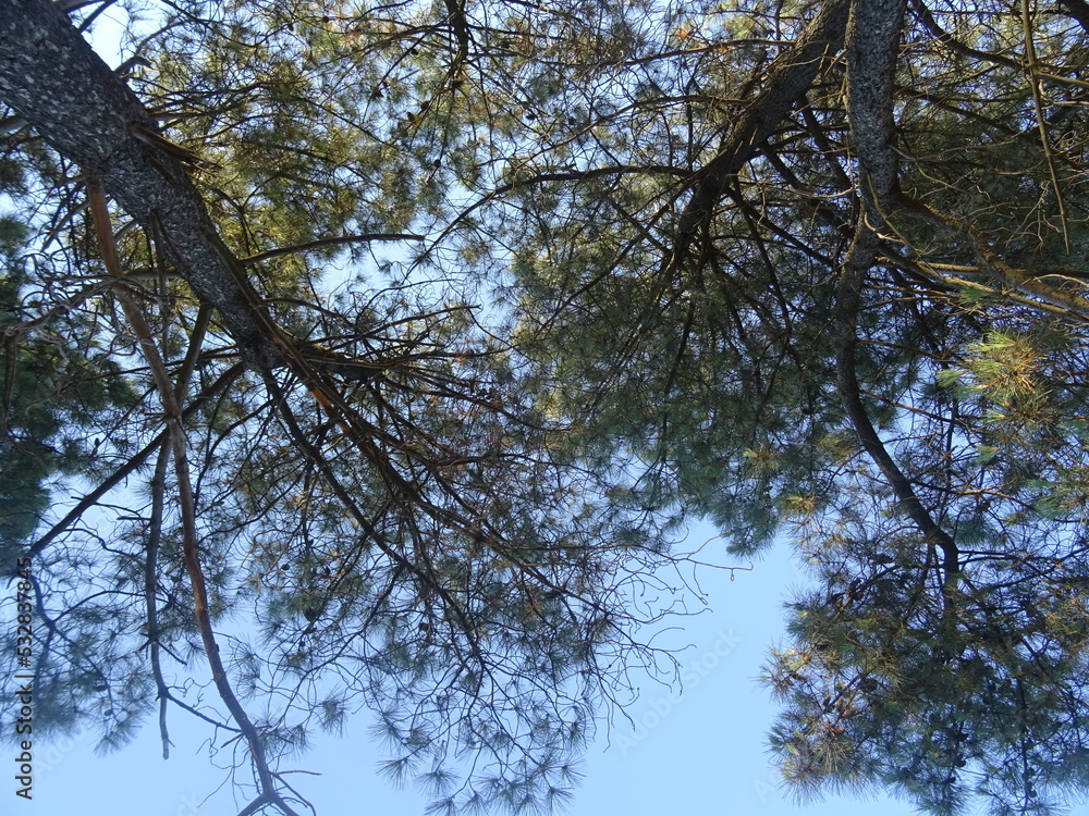 Fototapeta premium Nice summer view from Varna in Bulgaria 