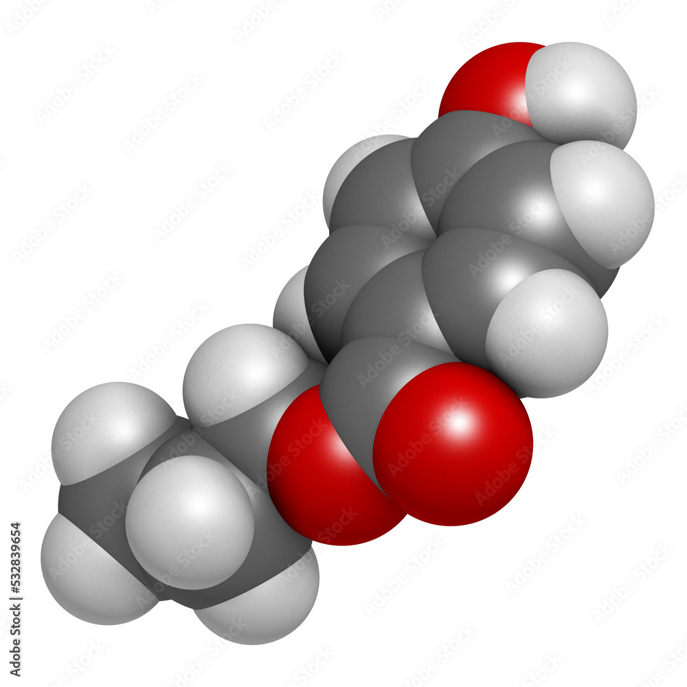 Propylparaben preservative molecule (paraben class) Propylparaben preservative molecule (paraben class)