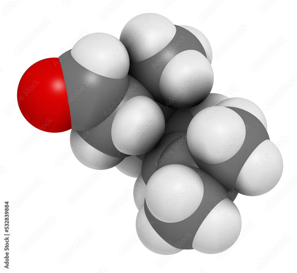 Citronellal citronella oil molecule. Used in insect repellents Citronellal citronella oil molecule. Used in insect repellents