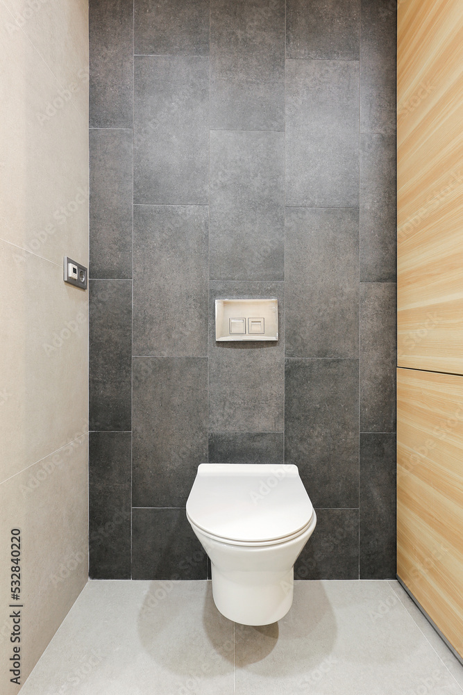 Toilet bowl in a modern home toilet room Toilet bowl in a modern home toilet room