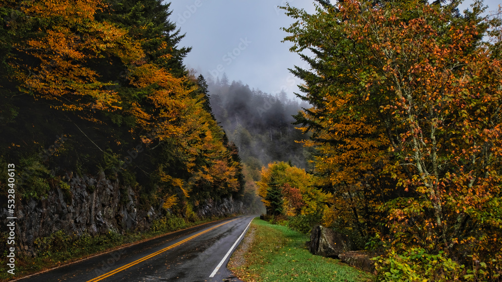 mountain road in an autumn forest mountain road in an autumn forest
