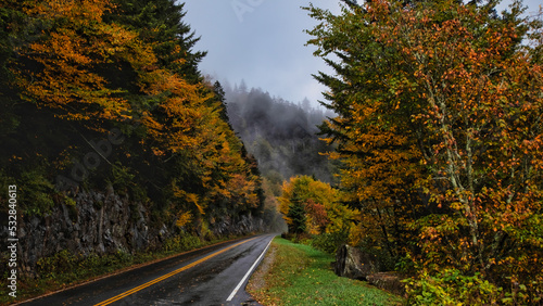 mountain road in an autumn forest