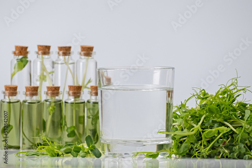 Micro greens or sprouts of raw live sprouting vegetables sprout from organic plant seeds. Concept of superfood, healthy eating, detox and diet photo