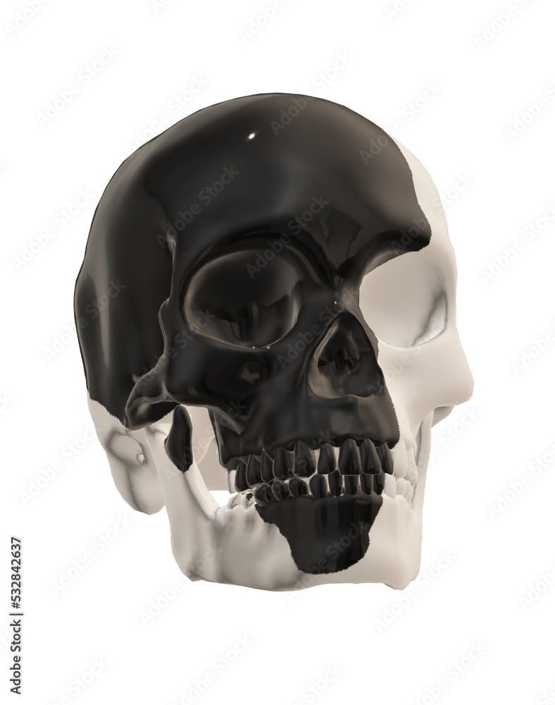 Obraz premium human skull