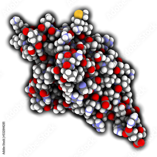 Programmed cell death 1 (PD-1, CD279) receptor protein. PD-1 is a major cancer drug target.