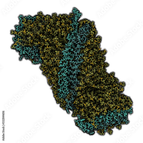 High density lipoprotein (HDL). Carrier of 