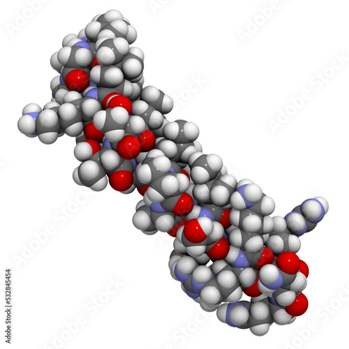 Melittin peptide toxin. Major component of apitoxin (honey been venom). photo