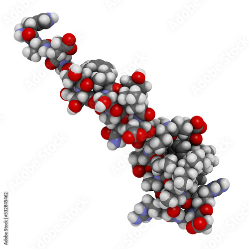 Liraglutide peptide drug molecule. Agonist of the glucagon-like peptide-1 receptor used in treatment of diabetes and obesity.