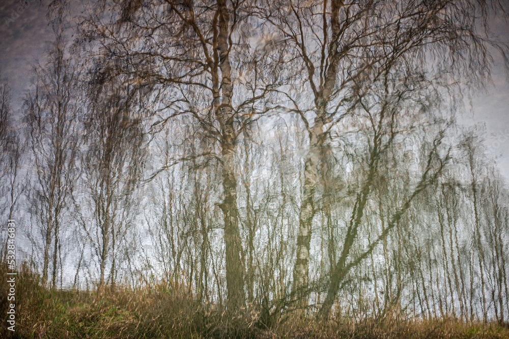 Reflection of trees in the water. The calm flow of the river. Autumn landscape.