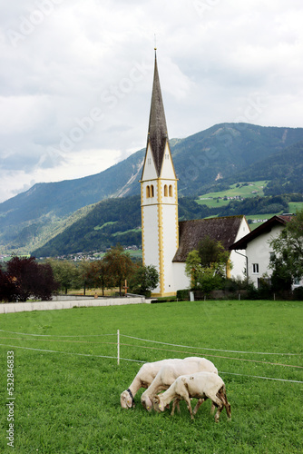 Schafe weiden vor der Laurentiuskirche , der alten Pfarrkirche