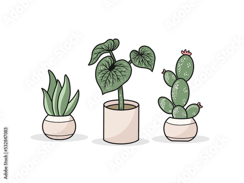vector set of aesthetic plants cactus in pots