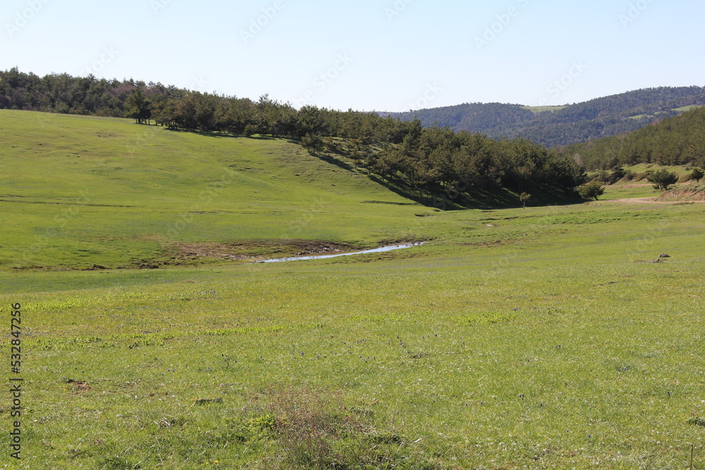 landscape in the spring landscape in the spring