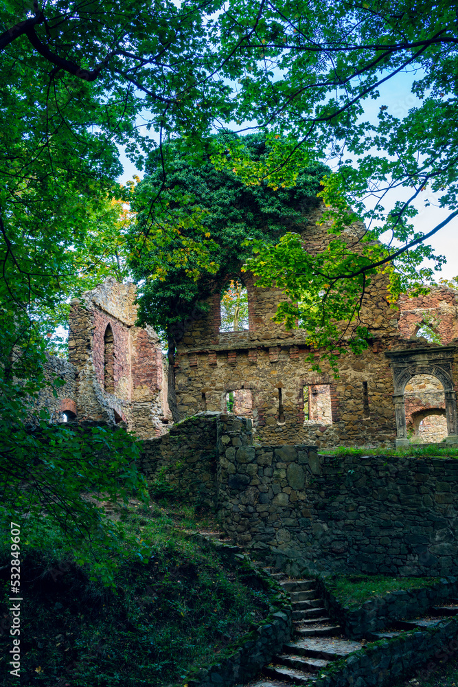 Ruins of an old castle in the woods