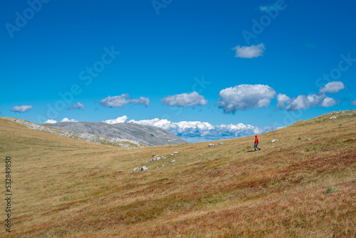 Hiker walking along a path through a field of dried blueberries with the Observatory, the highest peak of the Bjelasnica mountain, in the background photo