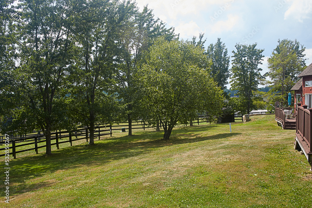 Natural summer landscape with several trees and a dark wooden fence behind a soft green field