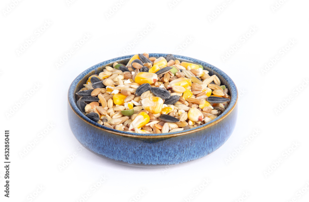 Chicken Scratch or Feed with Grains, Corn and Seeds in Blue Pottery Bowl or Dish in Side or Three Quarter Point of View Isolated on White Chicken Scratch or Feed with Grains, Corn and Seeds in Blue Pottery Bowl or Dish in Side or Three Quarter Point of View Isolated on White