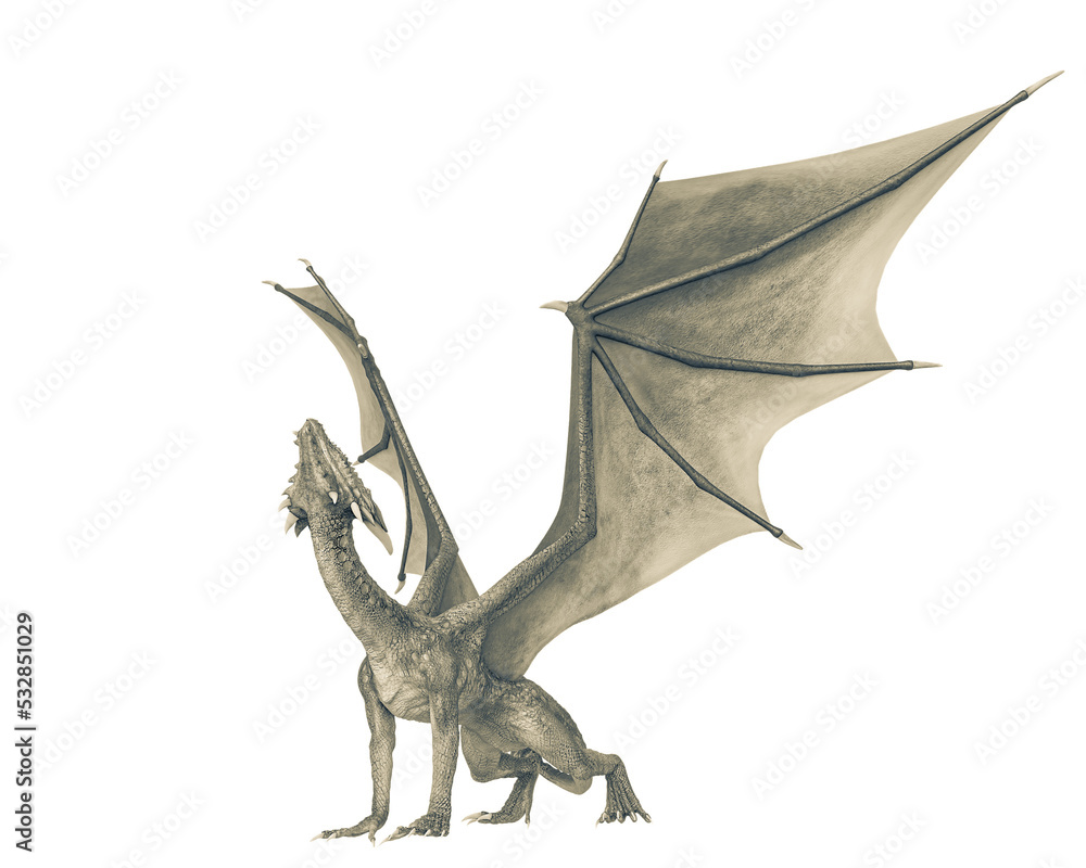 Fototapeta premium dragon side view