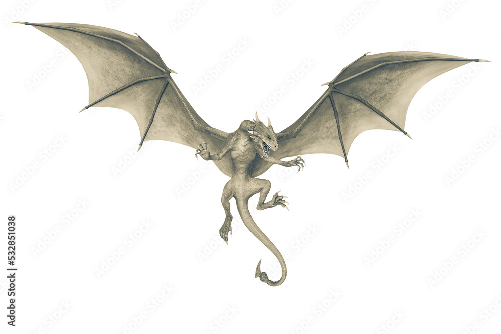Fototapeta premium dragon