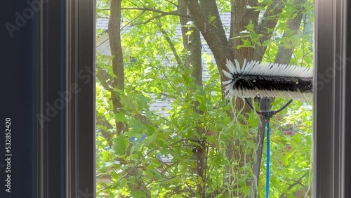 Exterior window cleaning with green leaves tree in the background photo