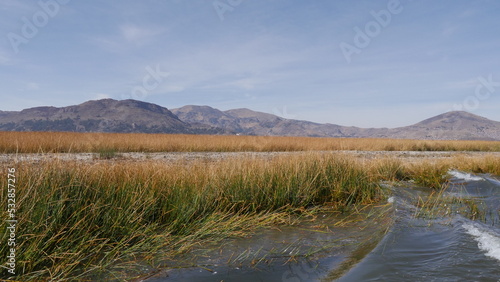 Fototapeta Naklejka Na Ścianę i Meble -  Traversée du lac Titicaca sur un petit bateau, en plein jour, avec des kilomètres de roseaux à l'horizon, à perte de vue, chemin et navigation