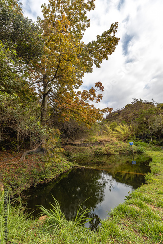 lake in the city of Catas Altas  State of Minas Gerais  Braz