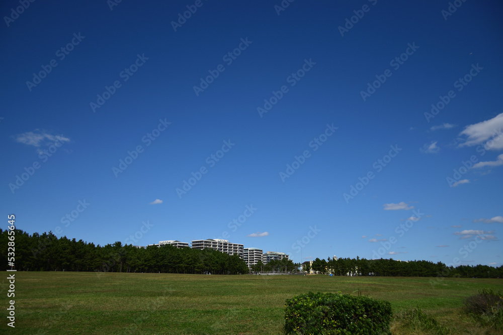 開放感あふれる公園