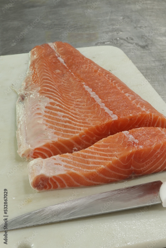 Peixe Salmão / Salmon Fish
