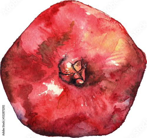 Watercolor hand drawn pomegranate sweet fruit isolated