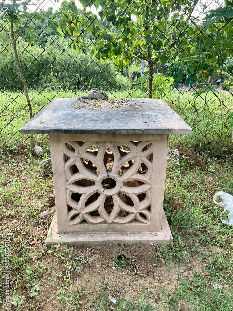 Fototapeta premium Alwar park inner close up view 