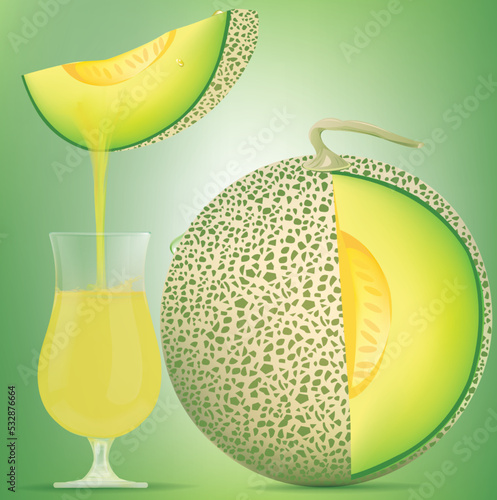 Drinking water from  cantaloupe comes down to the cup.illustration vector