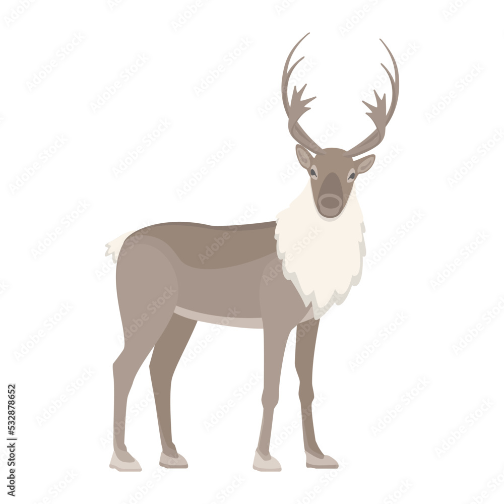 Vector illustration of reindeer isolated on background. Vector illustration of reindeer isolated on background.